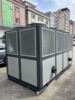 JLSF-100HP Chiller wody chłodzonej powietrzem Dania Danfoss Scroll Compressor R410A